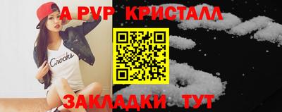 амф Кингисепп