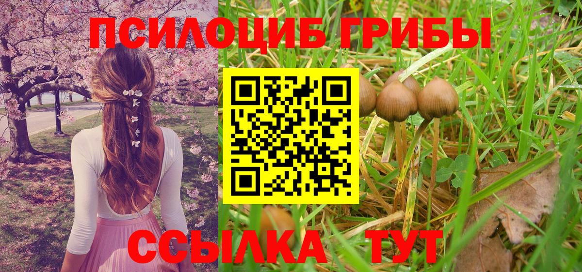Псилоцибиновые грибы мицелий Радужный