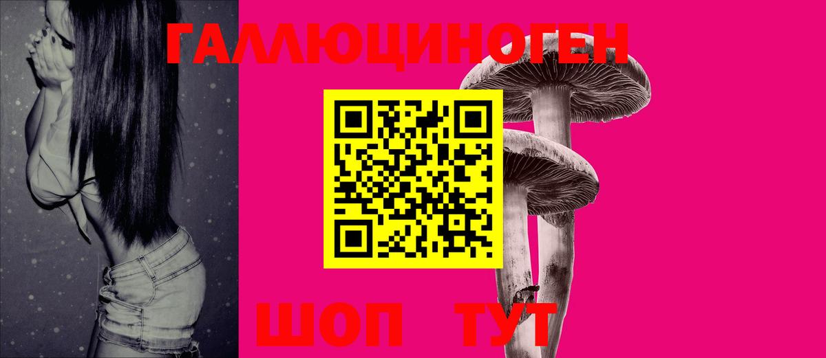 Радужный  Псилоцибиновые грибы Psilocybe  Вход с VPN 